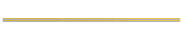 sheehans logo lines L Sheehans Pub, Grantham St, Dublin